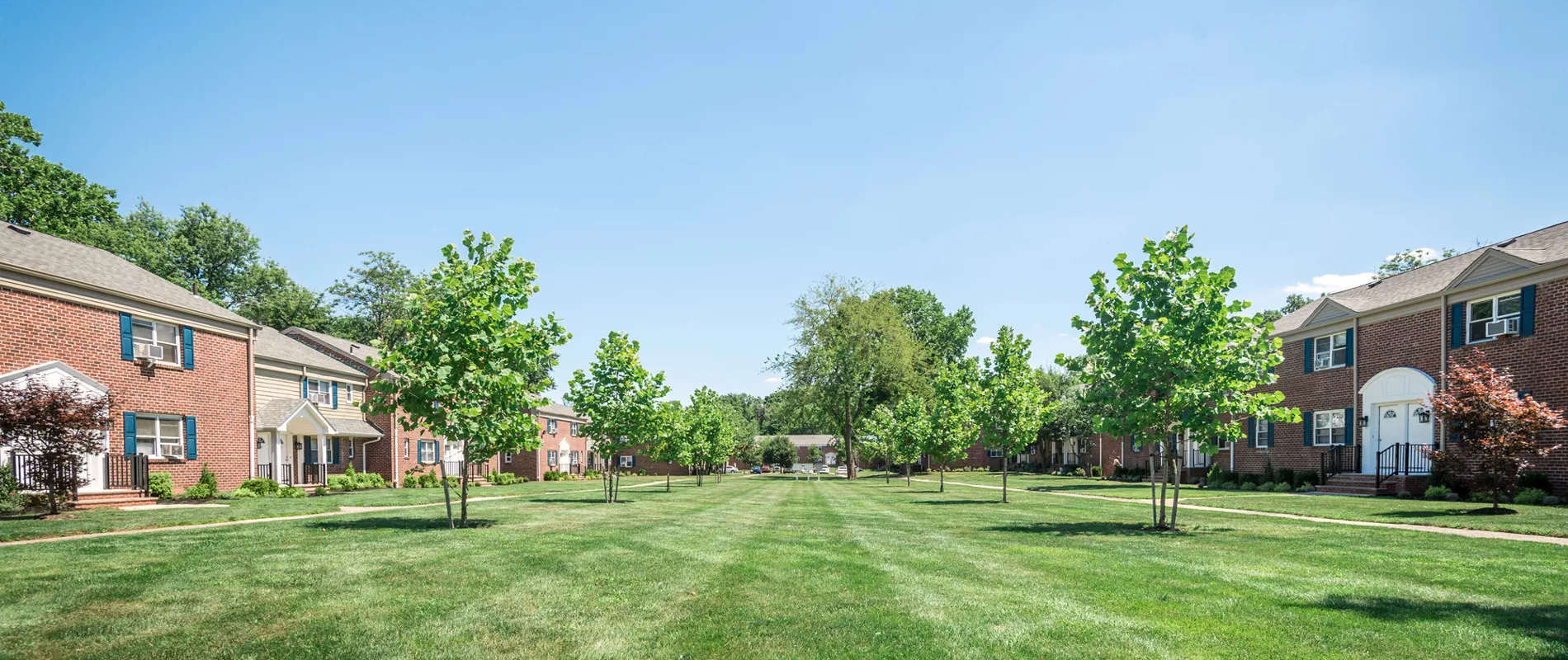 livingston terrace new brunswick