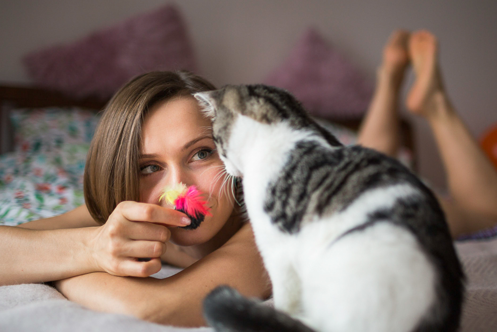 pet friendly langhorne apartments