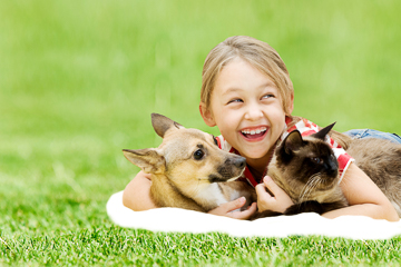 pet friendly apartments in old bridge