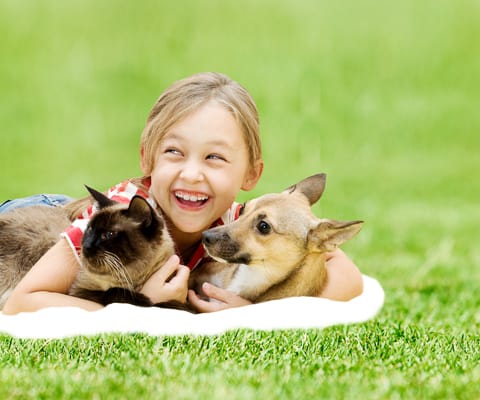 pet policy lakewood nj