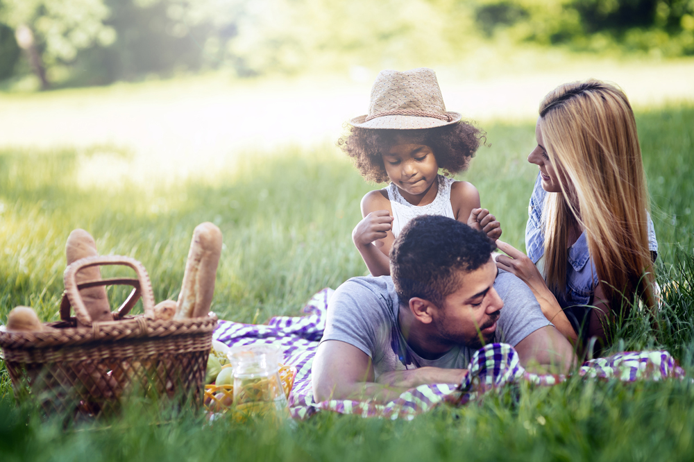 Happy Family Picnic