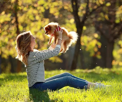 pet friendly in montville nj