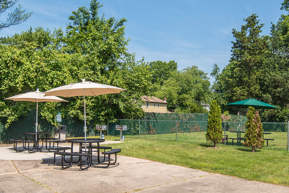 Chestnut Court picnic area