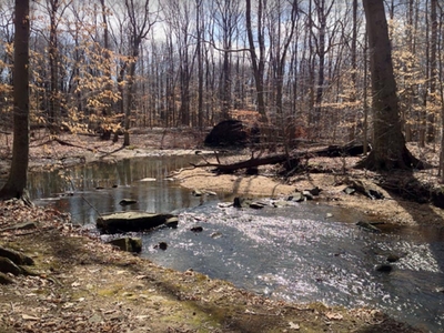 ireland brook conservation area