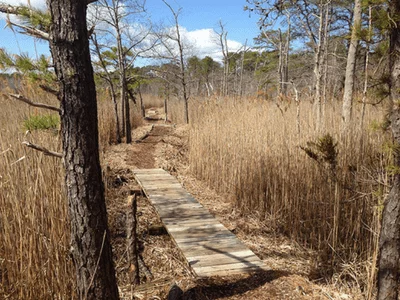 cattus island park toms river