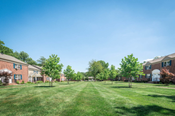livingston terrace apartments in new brunswick nj