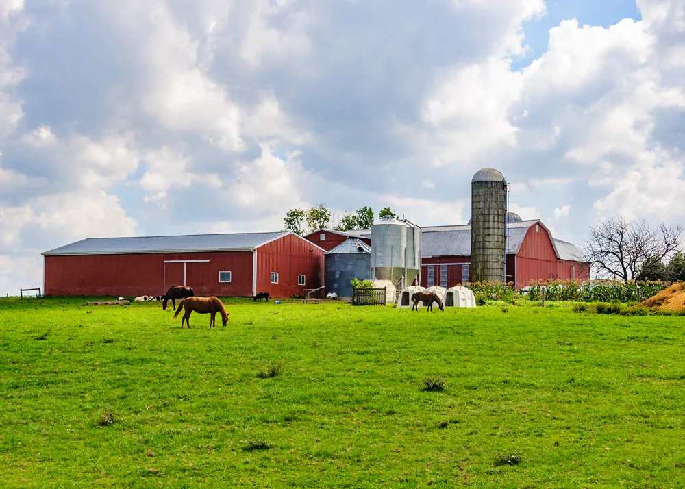 Farm