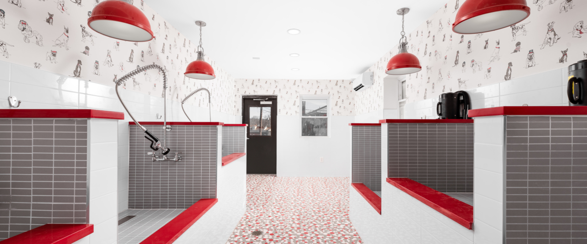 pet spa in piscataway