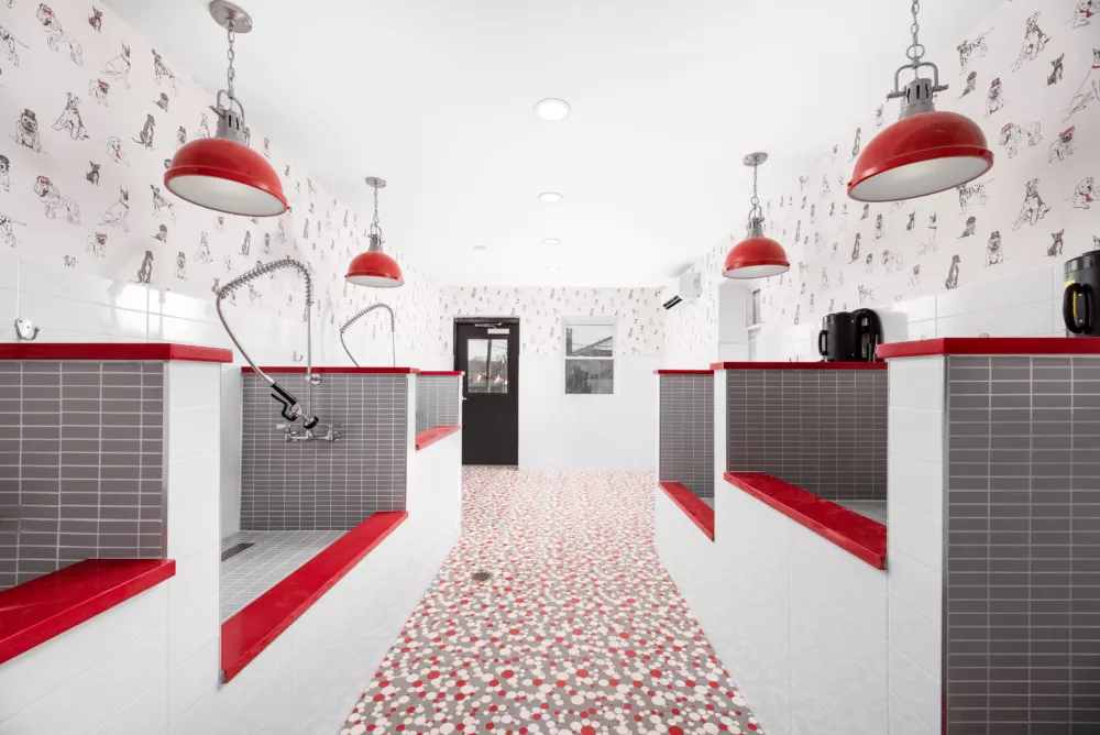 pet spa in piscataway