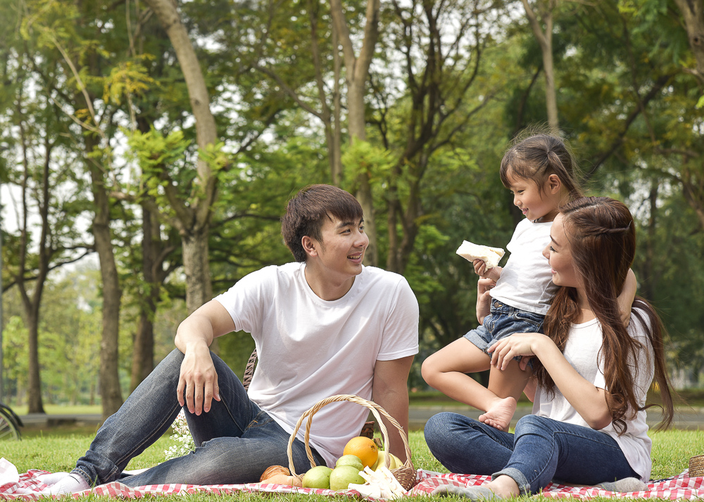 family picnic