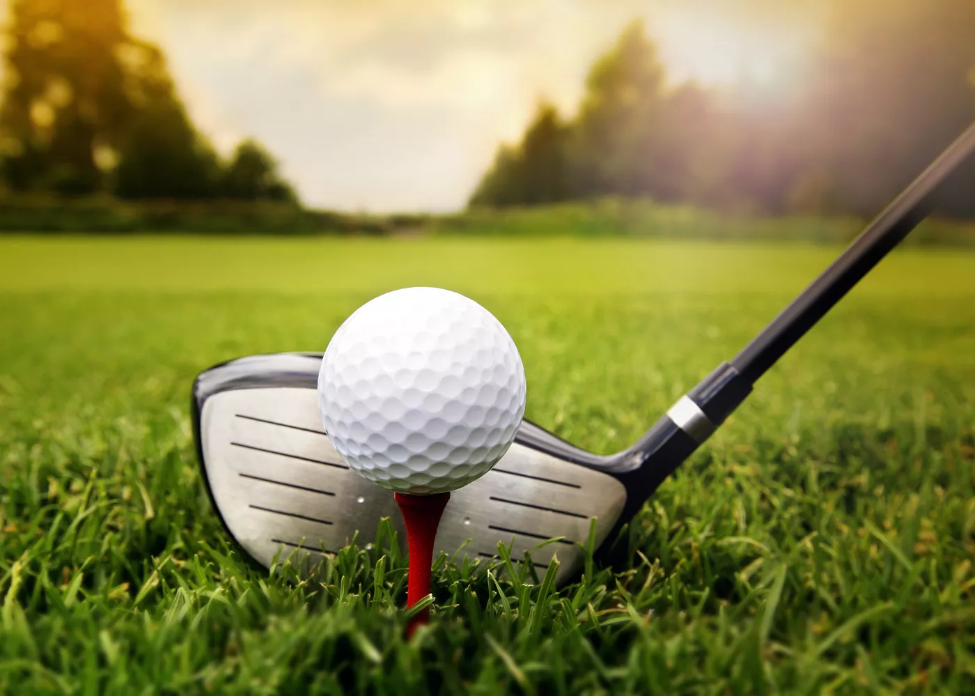 Golf Picture