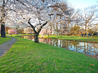 warinanco park elizabeth nj