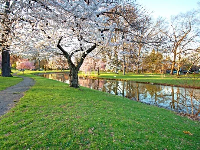 warinanco park elizabeth nj