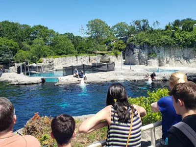 mystic seaport connecticut aquarium