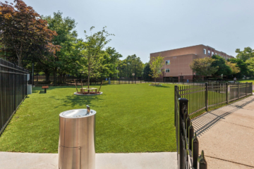 riverClub_amenities_dog_park_1350x900-2