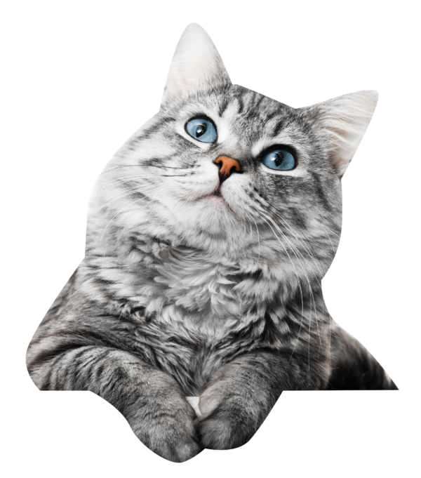 Lynnewood Gardens Apartments in Elkins Park PA Official Site