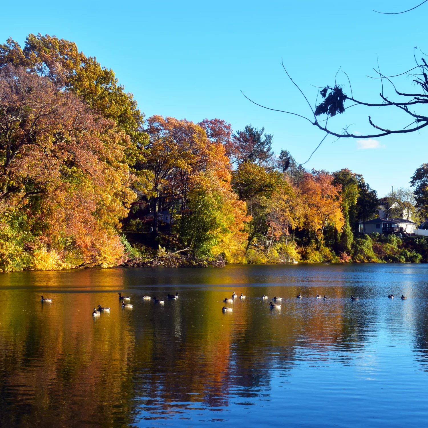 apartments near matawan nj