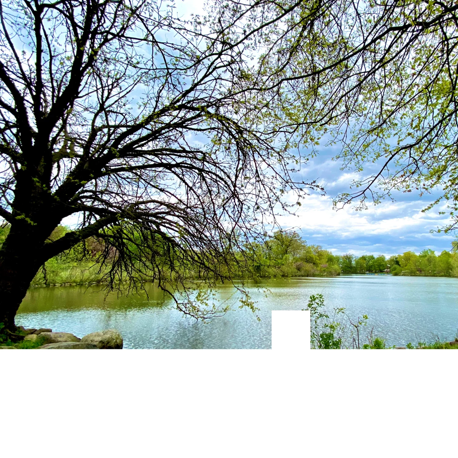 warinanco park in elizabeth nj