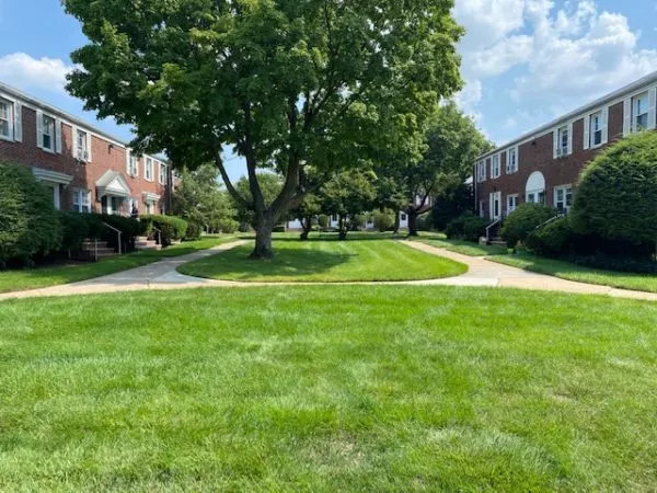 Sunnyfield Gardens