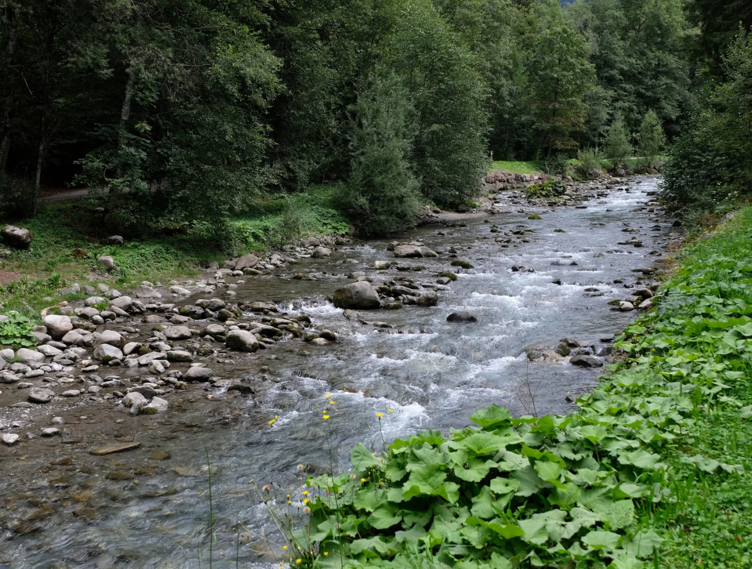 Musconetcong river
