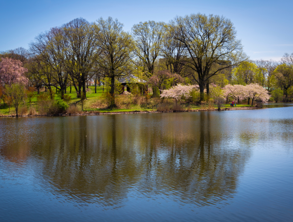 Pine Brook Apartments Apartments For Rent In Pine Brook, NJ