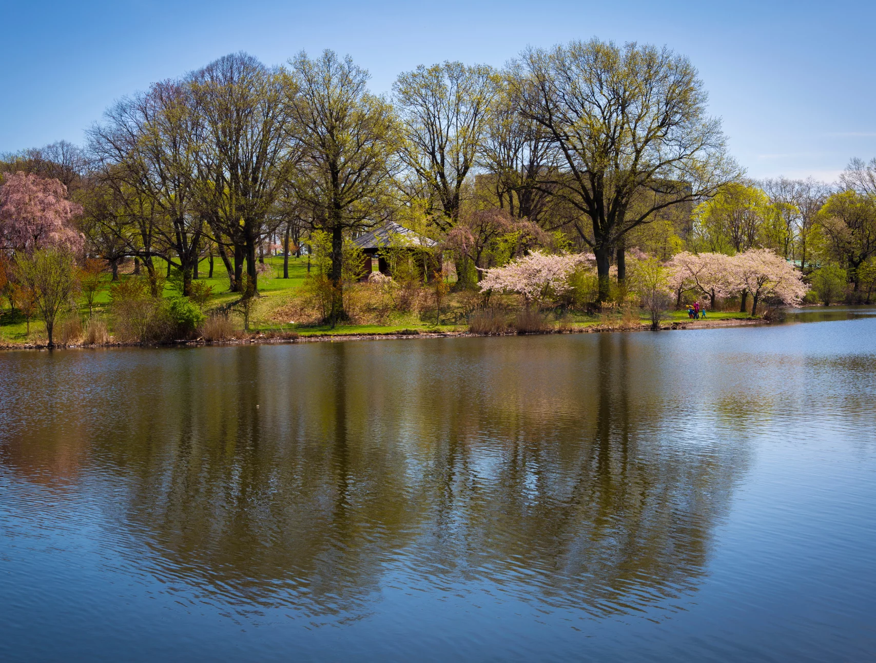 apartments in pine brook nj