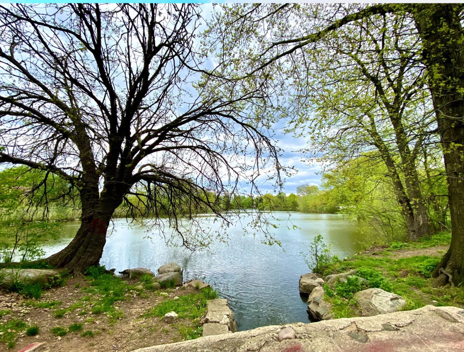 apartments in roselle nj warinanco park