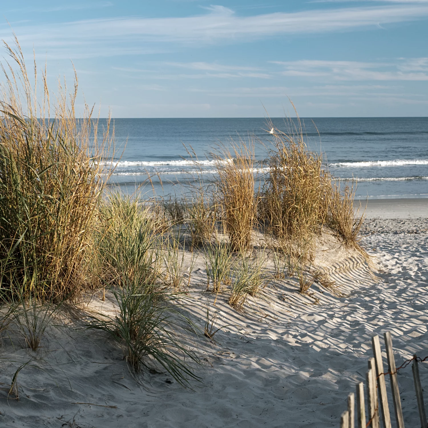 east ocean nj (1)