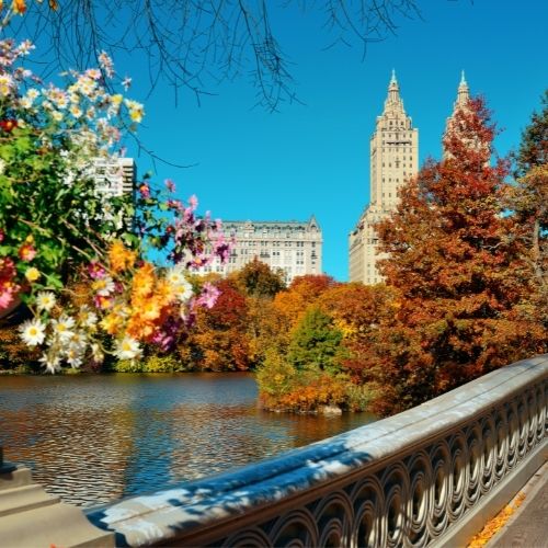 new york city apartments (2)