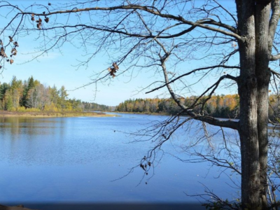 irishhtown park piscataway nj