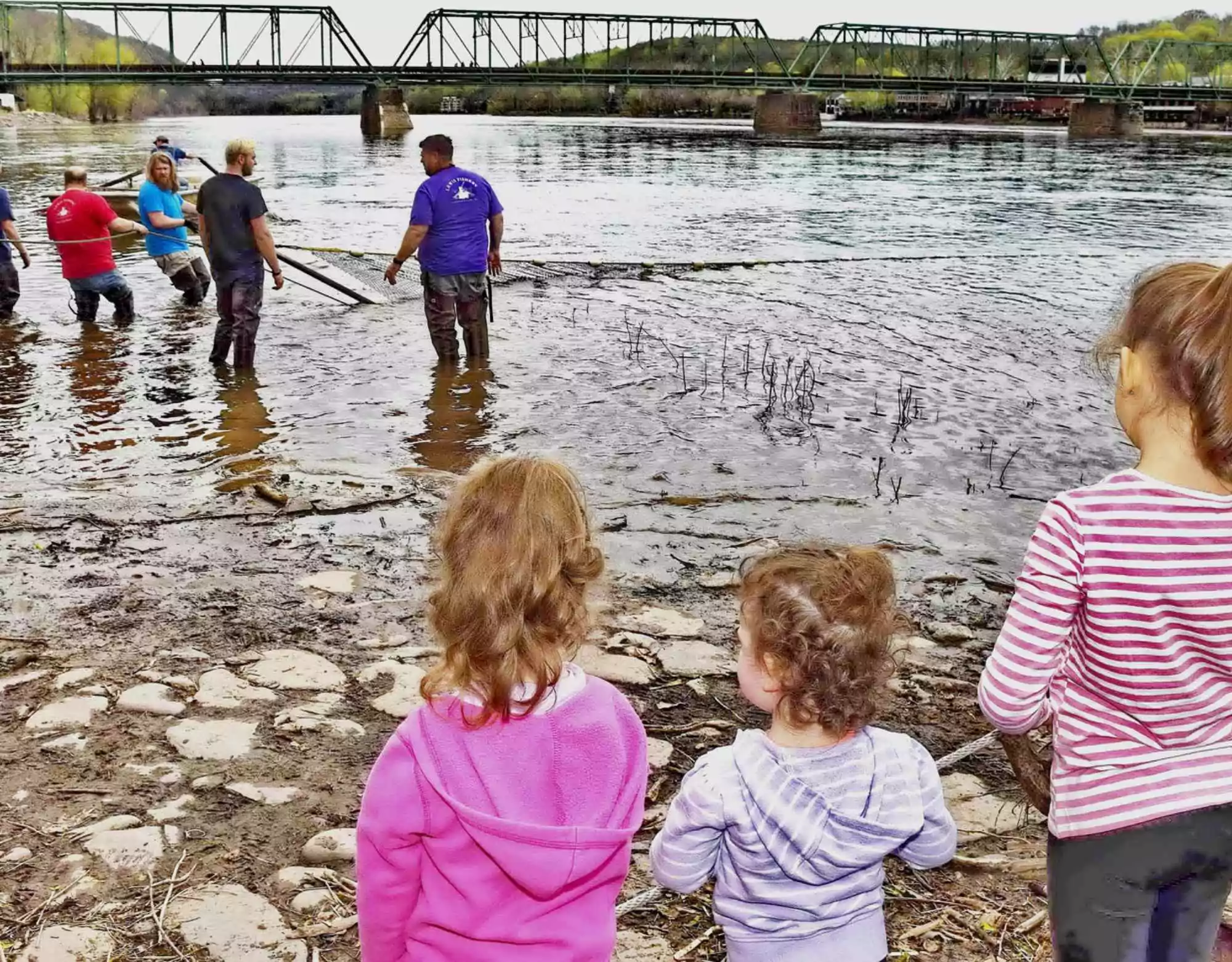 Lambertville Shad Fest