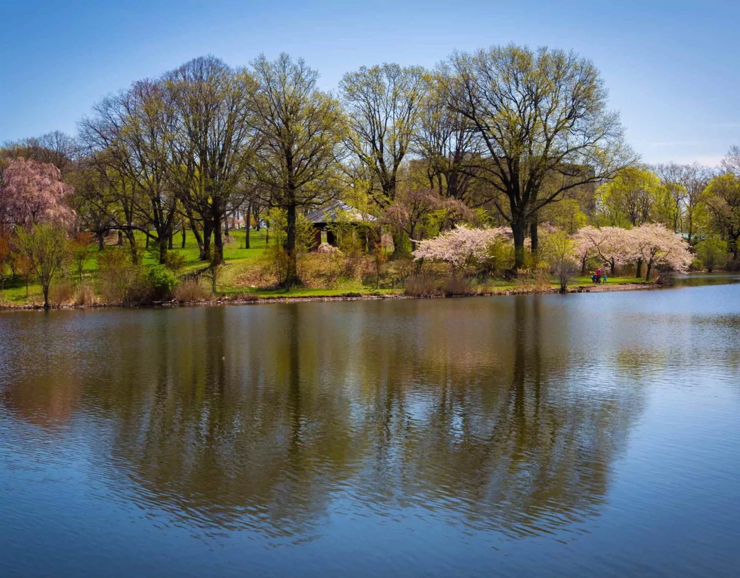 branch brook park