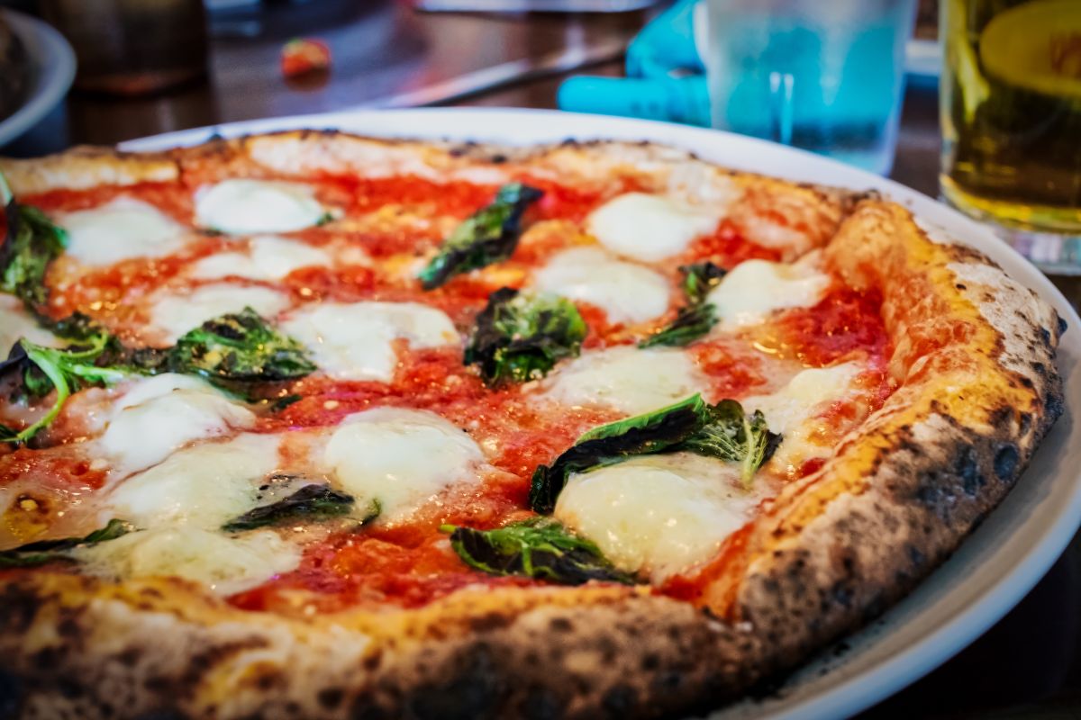 la piovra elkins park