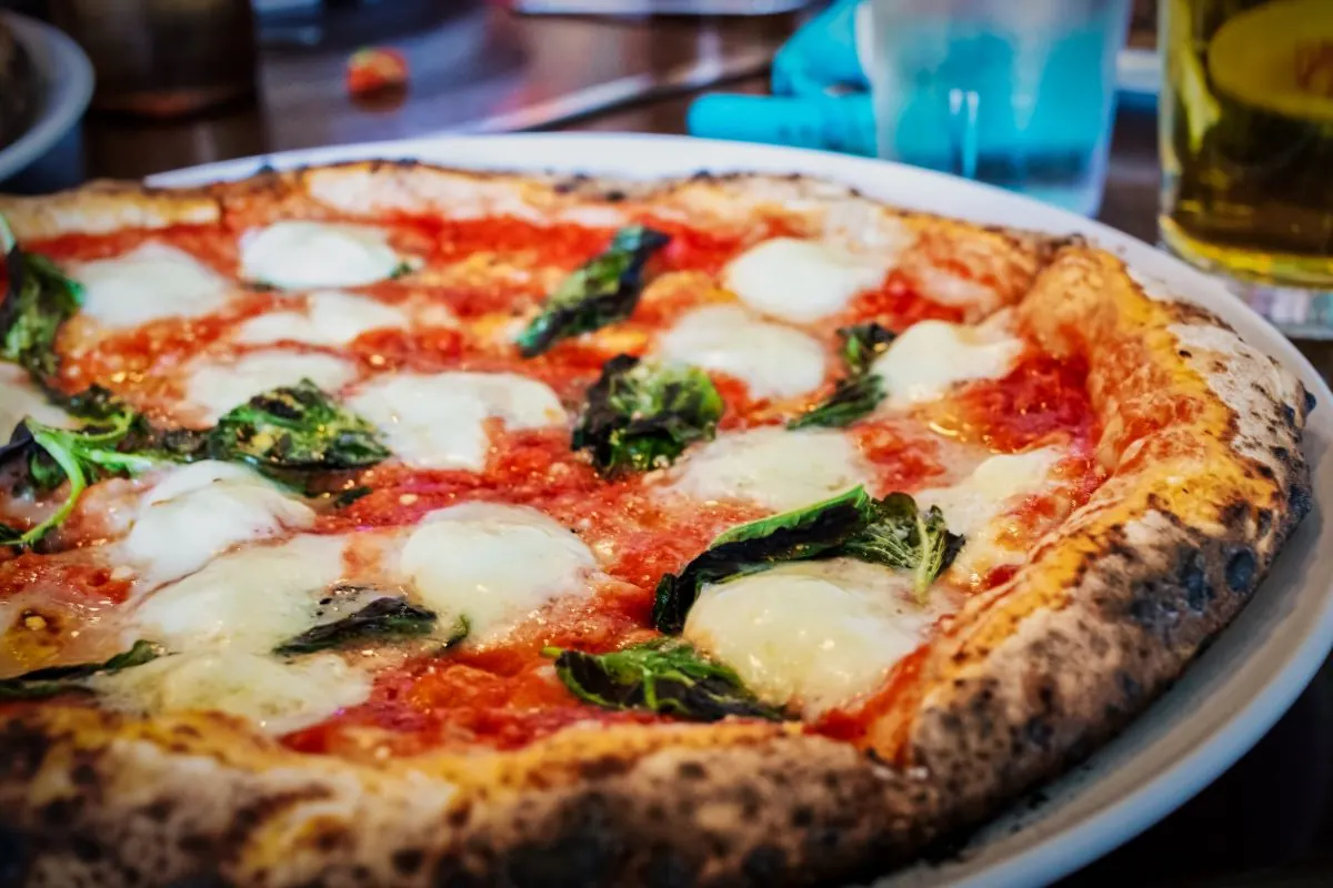 la piovra elkins park