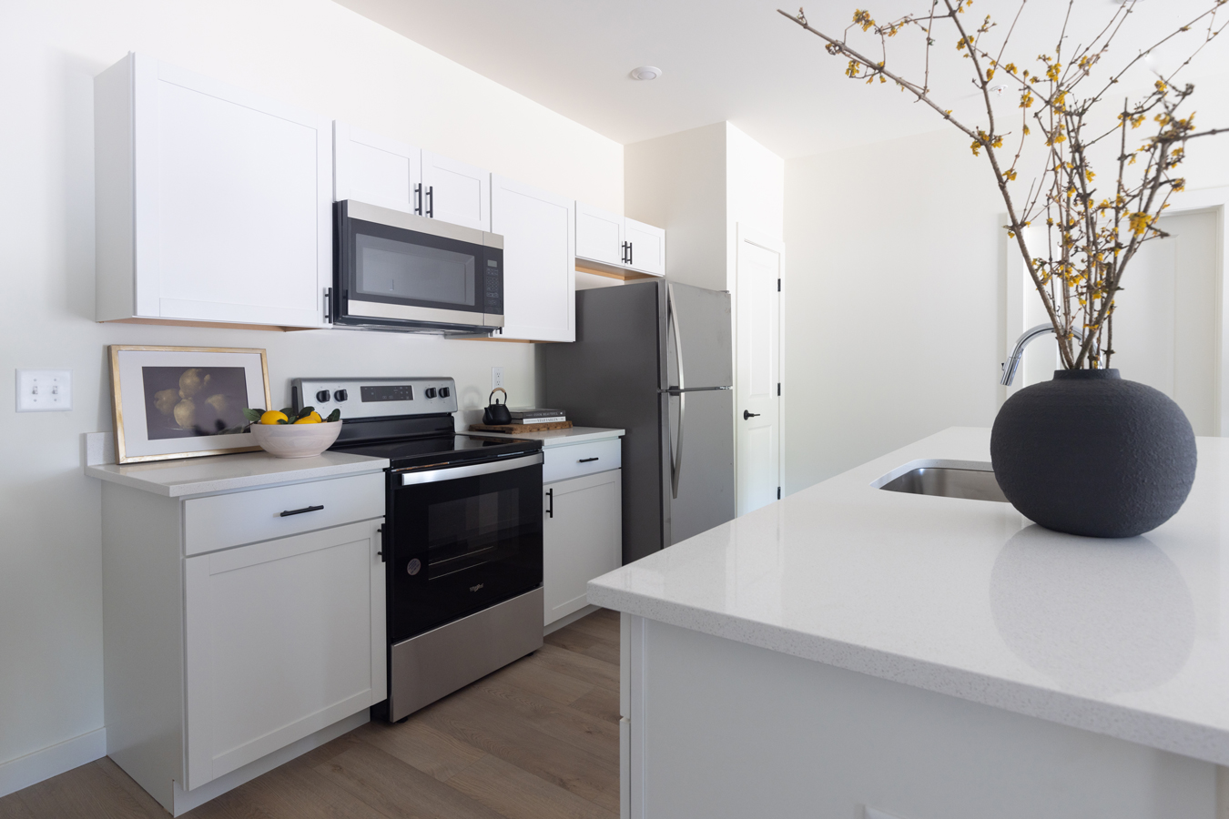 Fallbrook Flats Kitchen